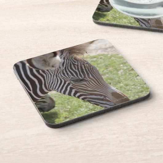 Bedfordshire, England Untersetzer (Linke Seite)