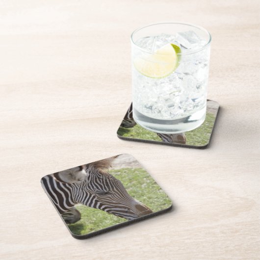 Bedfordshire, England Untersetzer (Rechte Seite)