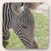 Bedfordshire, England Untersetzer (Vorderseite)