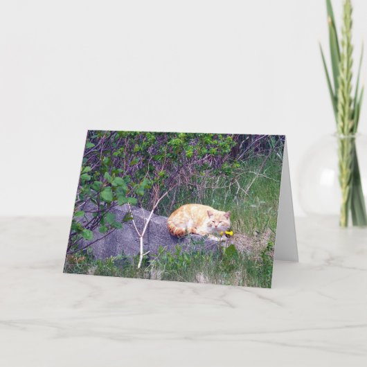 bedingungslose Grußkarte Karte (Vorderseite)