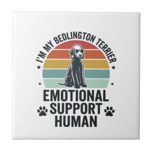 Bedlington Terrier Emotionaler Unterstützer Mensch Fliese