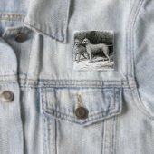 Bedlington Terrier-Herr F. Armstrongs Button (Beispiel)