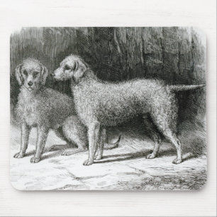 Bedlington Terrier-Herr F. Armstrongs Mousepad