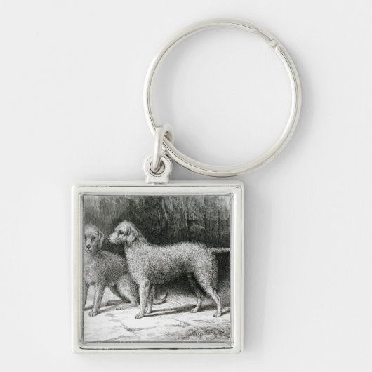 Bedlington Terrier-Herr F. Armstrongs Schlüsselanhänger (Vorne)