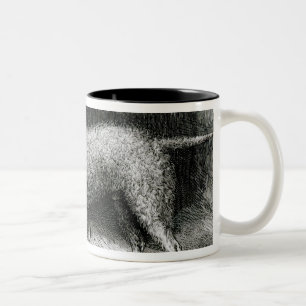 Bedlington Terrier-Herr F. Armstrongs Zweifarbige Tasse