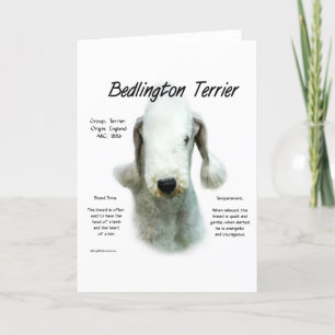 Bedlington Terrier History; alles über Bedlingtons Feiertagskarte