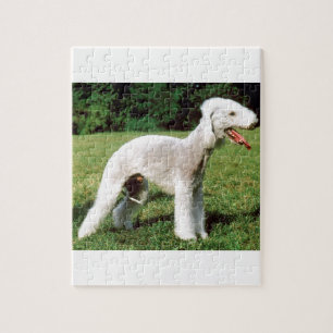 Bedlington Terrier Hund Puzzle