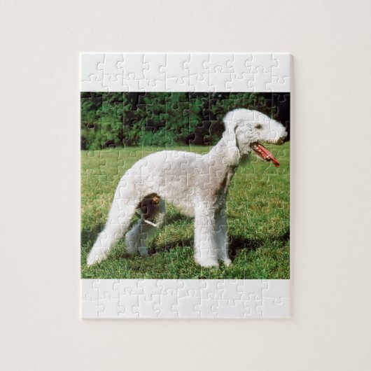 Bedlington Terrier Hund Puzzle (Vertikal)