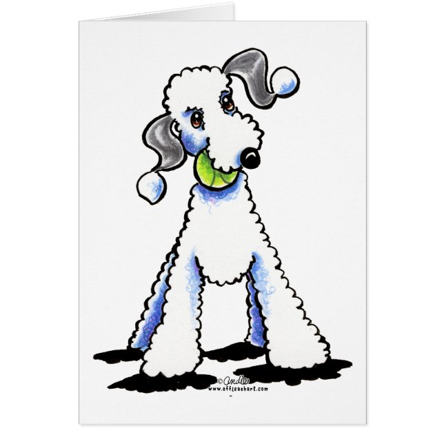 Bedlington Terrier Let's Play (Vorne)
