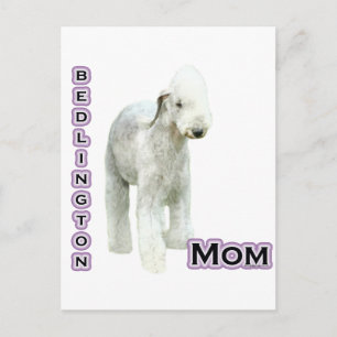 Bedlington Terrier Mama 4 Postkarte