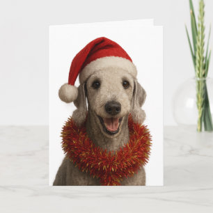 Bedlington Terrier mit Santa-Hut Weihnachtskarte Karte