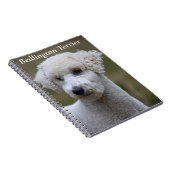 Bedlington Terrier Notizbuch Notizblock (Rechte Seite)