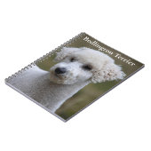 Bedlington Terrier Notizbuch Notizblock (Linke Seite)