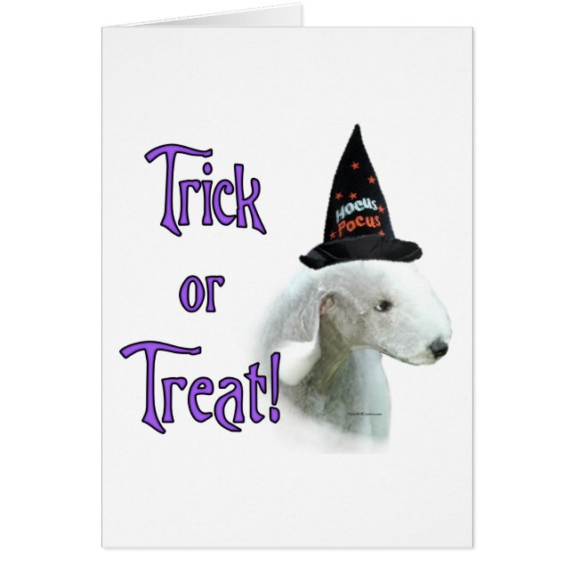 Bedlington Terrier Trick (Vorne)