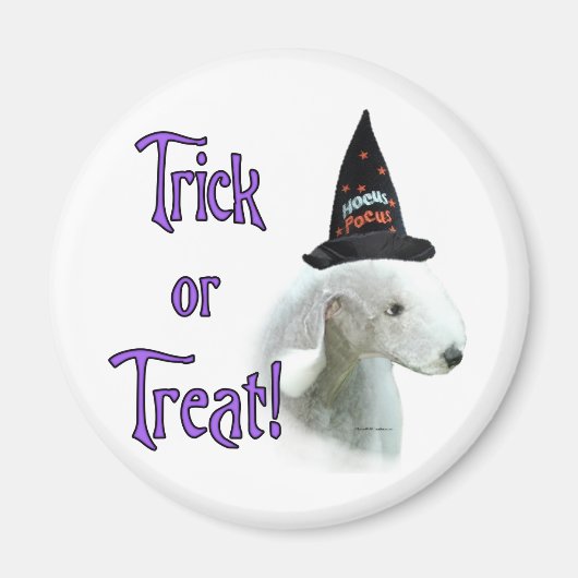 Bedlington Terrier Trick Magnet (Vorne)