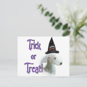 Bedlington Terrier Trick Postkarte (Stehend Vorderseite)