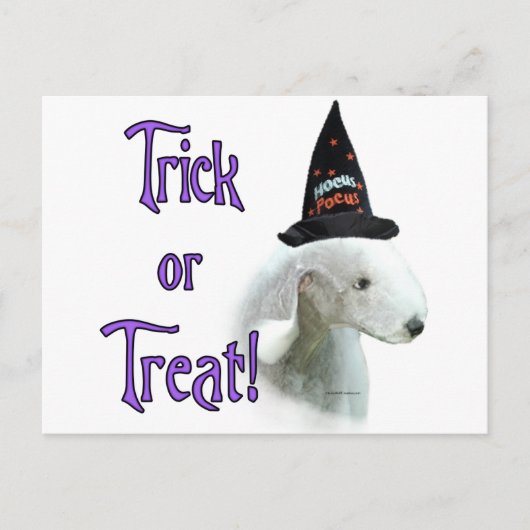 Bedlington Terrier Trick Postkarte (Vorderseite)