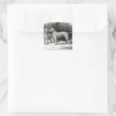 Bedlington Terriers - F. Armstrong's Quadratischer Aufkleber (Tasche)