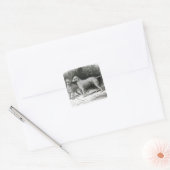 Bedlington Terriers - F. Armstrong's Quadratischer Aufkleber (Umschlag)