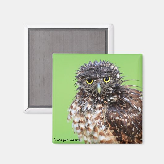 Bedraggles Owl Magnet (Vorderseite/Rückseite)