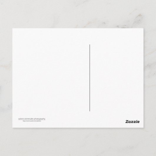 Bedrohte Postkarte (Rückseite)