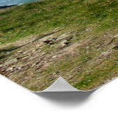Bedruine Steps Cornwall Poster (Ecke)