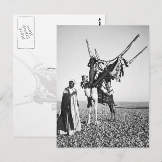 Beduiner und Kamel, Syrien Postkarte (Vorne/Hinten)