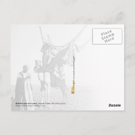 Beduiner und Kamel, Syrien Postkarte (Rückseite)
