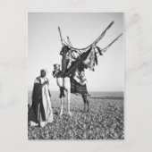 Beduiner und Kamel, Syrien Postkarte (Vorderseite)