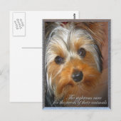 Bedürfnisse Ihres Tieres Yorkie Postkarte (Vorne/Hinten)