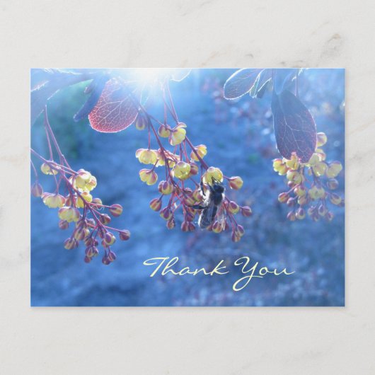 Bee and Berberis Flowers Postkarte (Vorderseite)