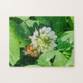 bee and clover puzzle (Horizontal)