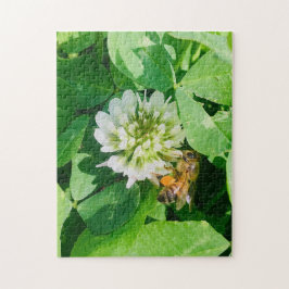 bee and clover puzzle