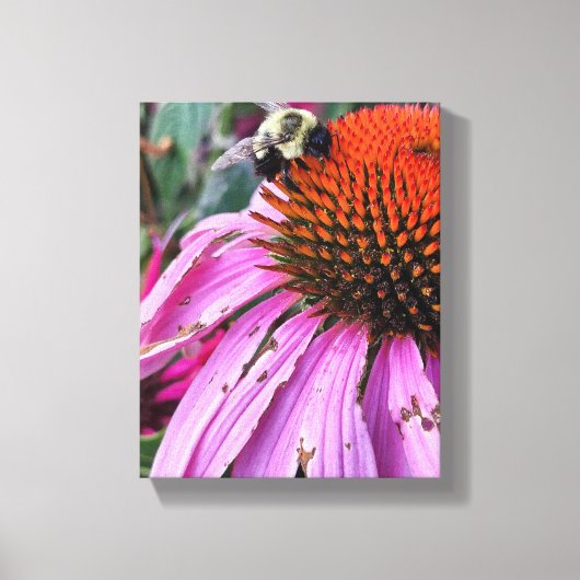 Bee and Coneflower Faux Wrapped Canvas Print Leinwanddruck (Vorderseite)
