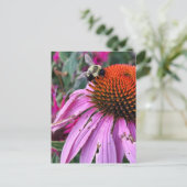 Bee and Coneflower  Postkarte (Stehend Vorderseite)
