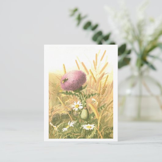 Bee and Thistle Postcard Postkarte (Stehend Vorderseite)