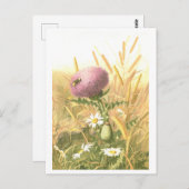 Bee and Thistle Postcard Postkarte (Vorne/Hinten)