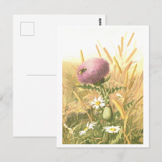 Bee and Thistle Postcard Postkarte (Vorne/Hinten)
