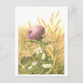 Bee and Thistle Postcard Postkarte (Vorderseite)