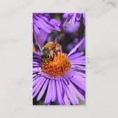 Bee Aster Blume Naturfotografie Visitenkarte (Rückseite)