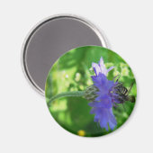 Bee auf Button-Blume Magnet (Vorderseite/Rückseite)