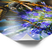 Bee Aware 10" x 8", Kodak Pro Foto Paper (Satin) (Ecke)