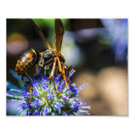 Bee Aware 10" x 8", Kodak Pro Foto Paper (Satin)