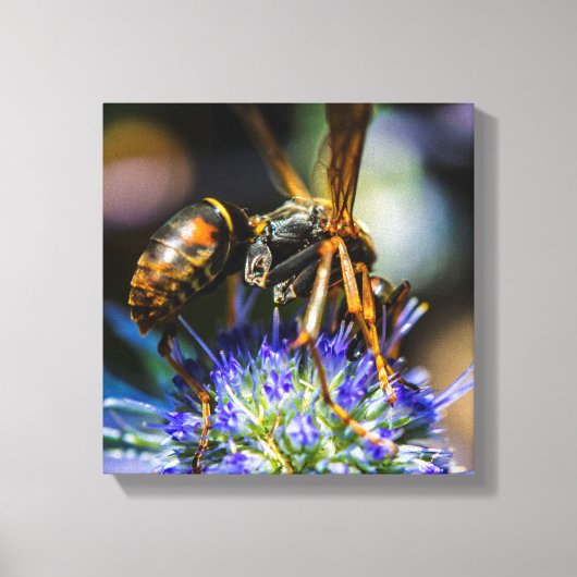 Bee Aware 12" x 12", 1,5", Single Wrapped Canvas Leinwanddruck (Vorderseite)