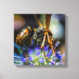 Bee Aware 12" x 12", 1,5", Single Wrapped Canvas Leinwanddruck