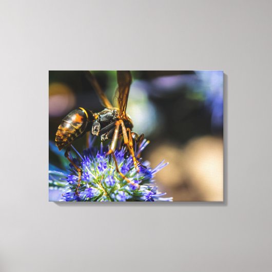 Bee Aware 24" x 18", 1,5", Single Wrapped Canvas Leinwanddruck (Vorderseite)