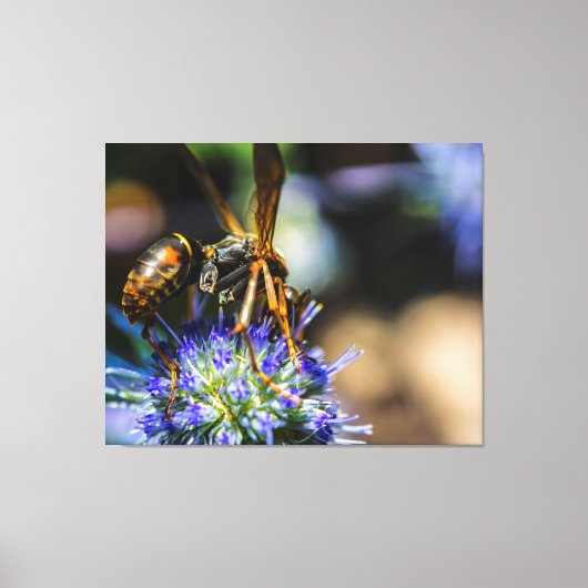BEE AWARE 50 X 40 WRAPPED CANVAS DRUCK LEINWANDDRUCK (Vorderseite)