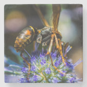 Bee Aware Marble Stone Untersetzer (Vorderseite)