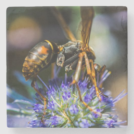 Bee Aware Marble Stone Untersetzer (Vorderseite)