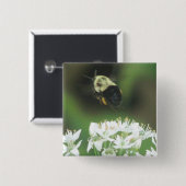 Bee Away Button (Vorne & Hinten)